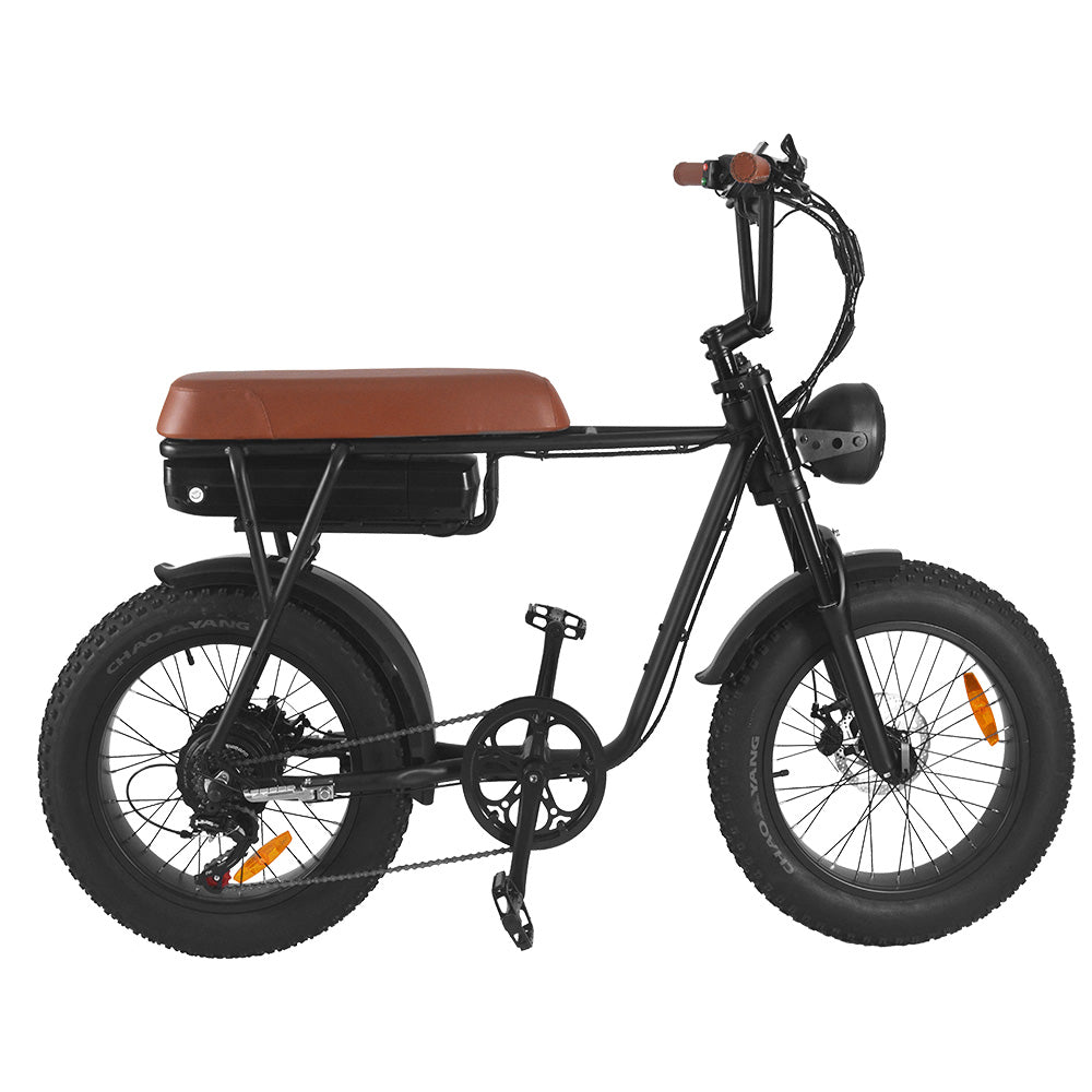 SAIBAIKE FXH006 750W Bicicletta Elettrica da Montagna con Pneumatici Grassi