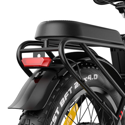 FAFREES F20 Max Bicicletta Elettrica Pieghevole da Città 500W