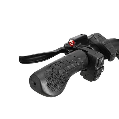 DrveTion BT20 Bicicletta Elettrica Fuoristrada 750W 45km/h