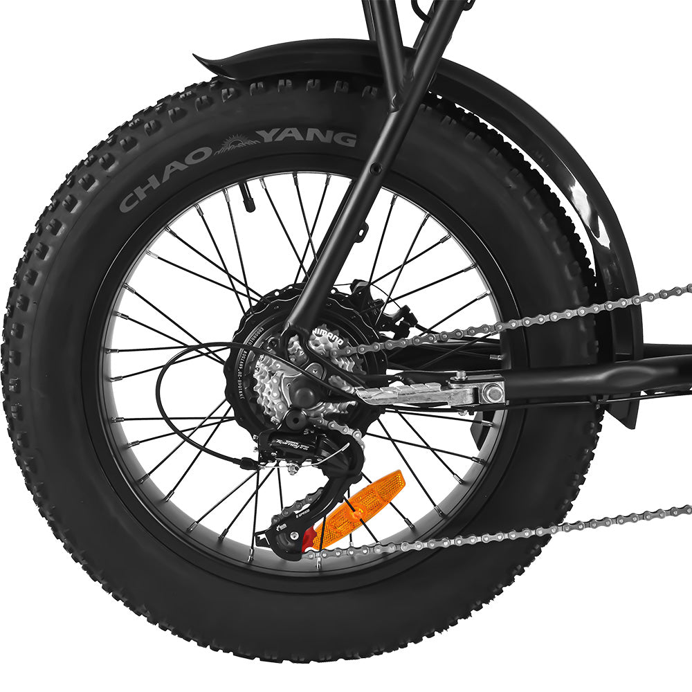 SAIBAIKE FXH006 750W Bicicletta Elettrica da Montagna con Pneumatici Grassi