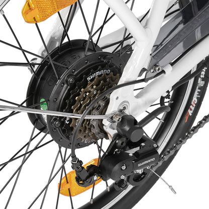 HILAND Ostrich Bicicletta Elettrica 250W