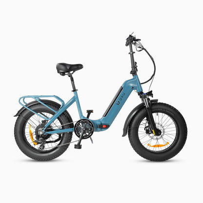 DYU FF500 Bicicletta Elettrica 500W