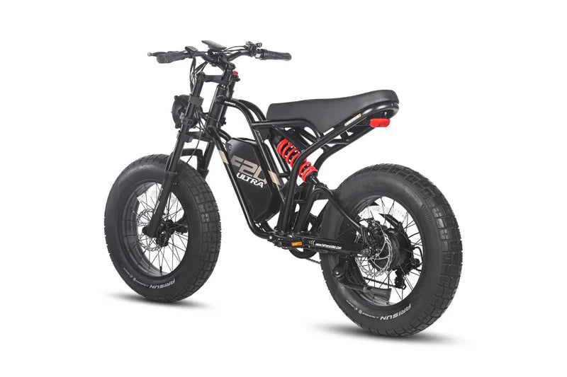 Fafrees F20 Ultra Bicicletta Elettrica con Motore da 750W, Batteria da 48V 25Ah, Pneumatici Fat 20*5.0 e Sistema di Doppia Sospensione
