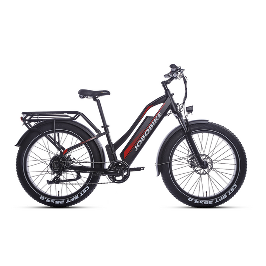 JOBOBIKE Robin Bicicletta Elettrica da Città con Motore al Mozzo e Telaio Ribassato