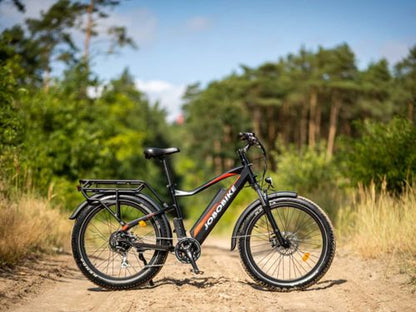 JOBOBIKE Robin Bicicletta Elettrica da Città con Motore al Mozzo e Telaio Ribassato