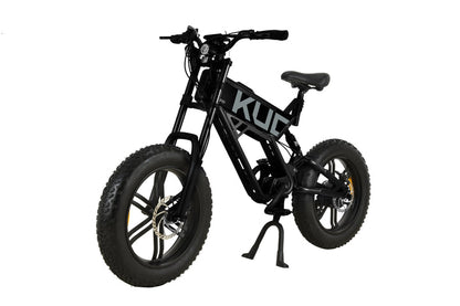 KUGOO T01 Bicicletta Elettrica 500W