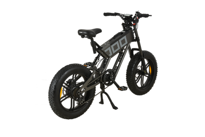 KUGOO T01 Bicicletta Elettrica 500W
