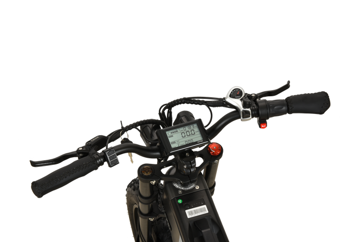 KUGOO T01 Bicicletta Elettrica 500W