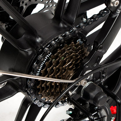 SAMEBIKE 20LVXD30-II 350W Bicicletta Elettrica Pieghevole da Città