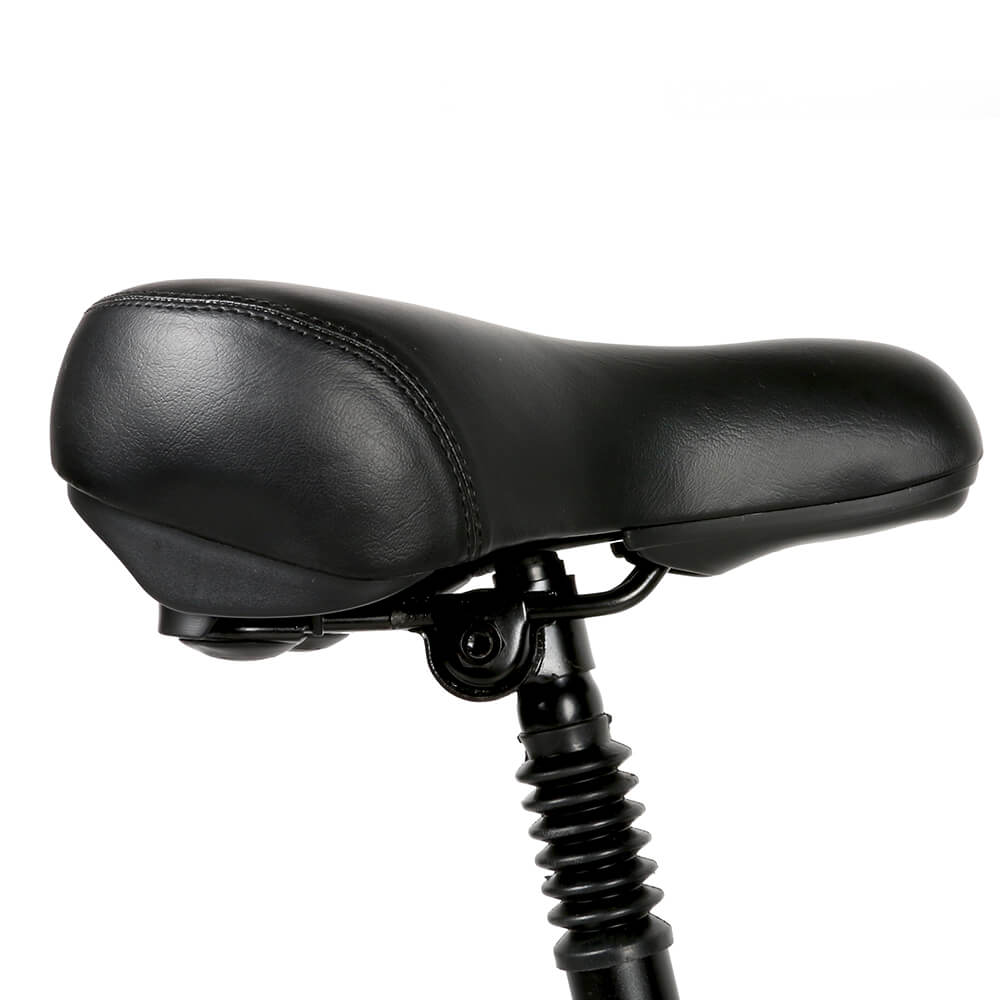 SAMEBIKE 20LVXD30-II 350W Bicicletta Elettrica Pieghevole da Città