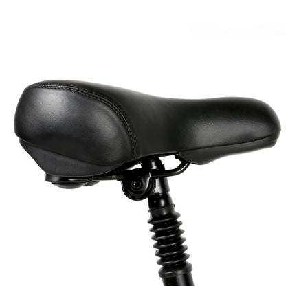 SAMEBIKE 20LVXD30-II 350W Bicicletta Elettrica Pieghevole da Città