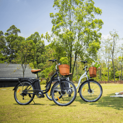 DYU C6 - Bicicletta Elettrica da Città, 26 pollici, 350W