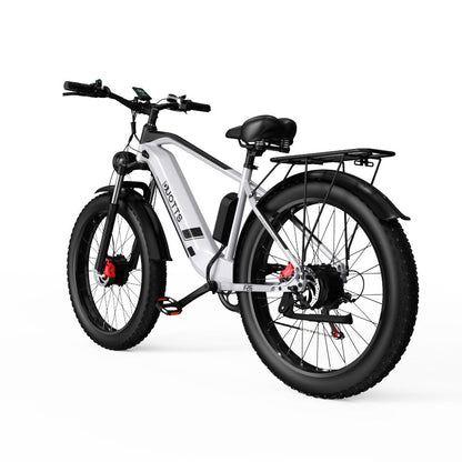 DUOTTS F26 Bicicletta Elettrica 750W*2