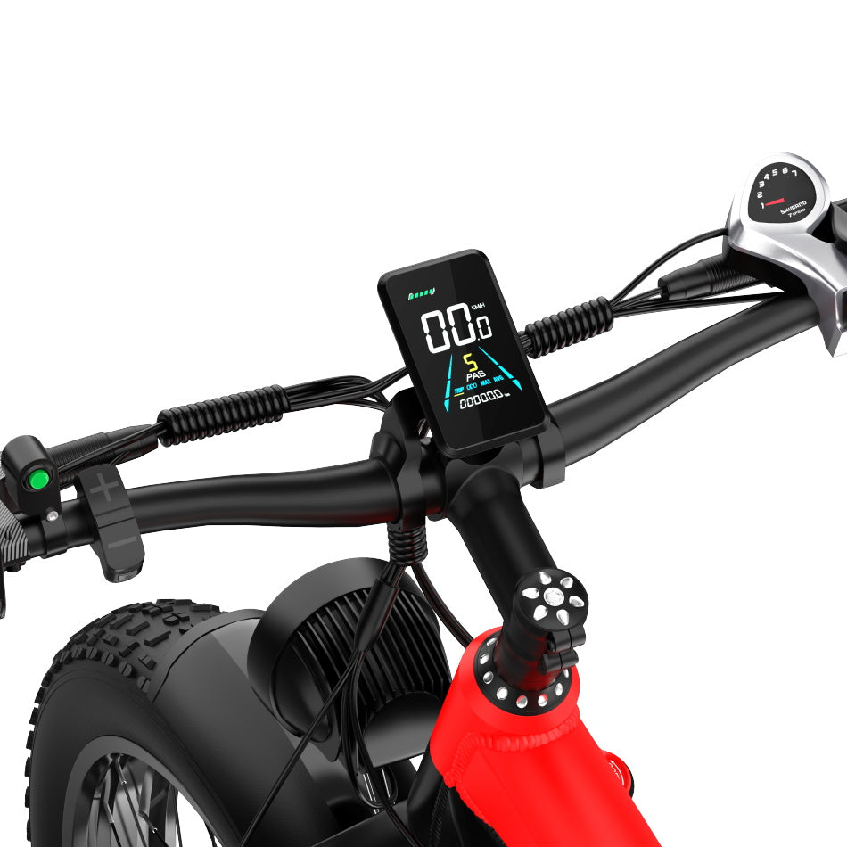 DUOTTS F26 Bicicletta Elettrica 750W*2