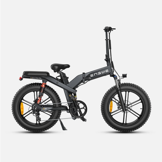ENGWE X20 1000W Bicicletta Elettrica