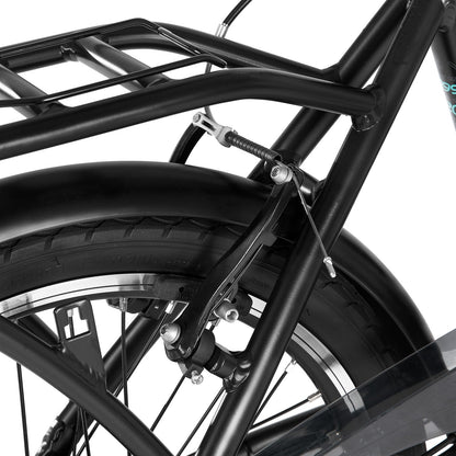 HILAND Ostrich Bicicletta Elettrica 250W