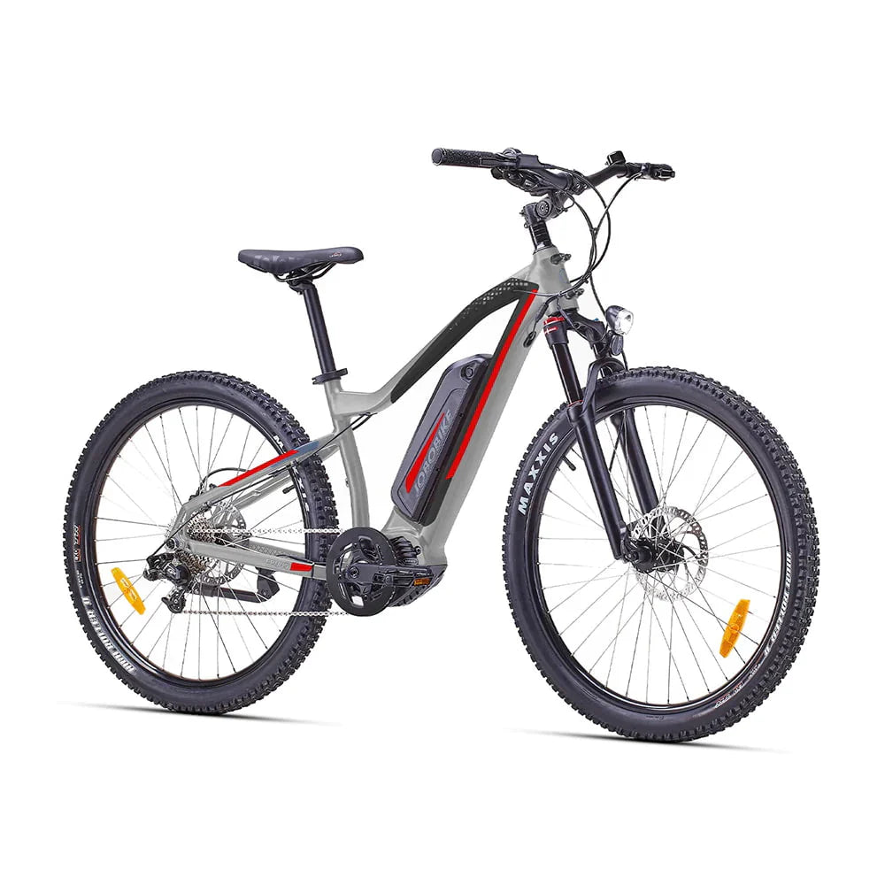 JOBOBIKE Bruno Bicicletta Elettrica da Città 250W