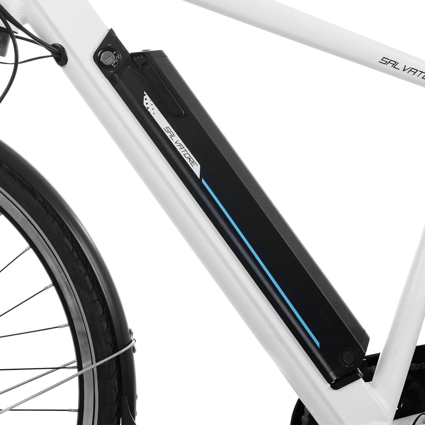 HILAND Pro Tour Uomo Bici Elettrica da 250W