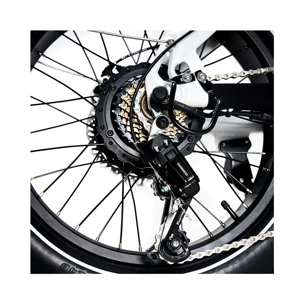 JOBOBIKE EddyX Bicicletta Elettrica 500W ad Alte Prestazioni - Potenza Eccezionale e Autonomia Lunga
