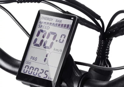 Bezior XF001 - Bicicletta Elettrica Retro 25km/h