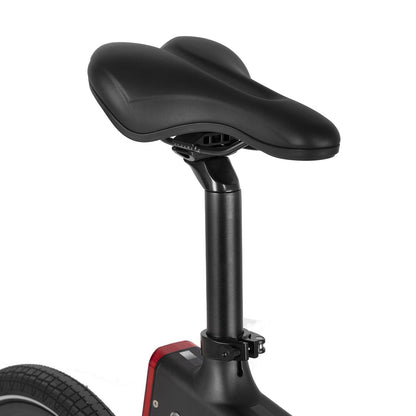 HILAND Formula Bicicletta Pieghievole Elettrica 250W