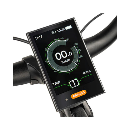JOBOBIKE Linda Bicicletta Elettrica da Città 250W - Scelta Leggera ed Ecologica per la Mobilità Urbana