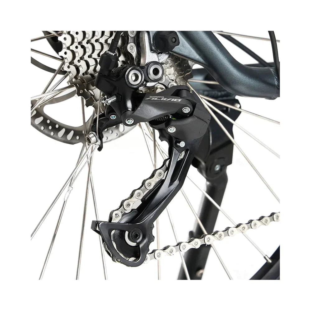 JOBOBIKE Lyon Bicicletta Elettrica da Città 250W - Perfetta Combinazione di Stile e Funzionalità