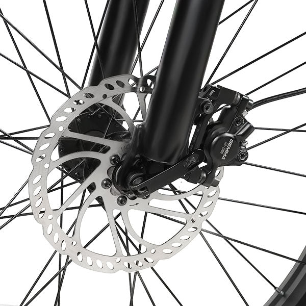 SAMEBIKE RS-A08: Bicicletta Elettrica da Città con Potenza Eccezionale”